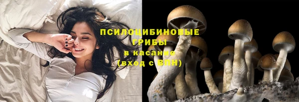 хмурый Протвино