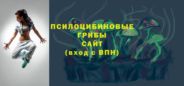 хмурый Протвино