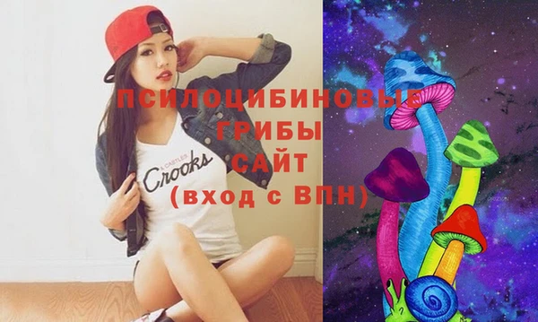 хмурый Протвино