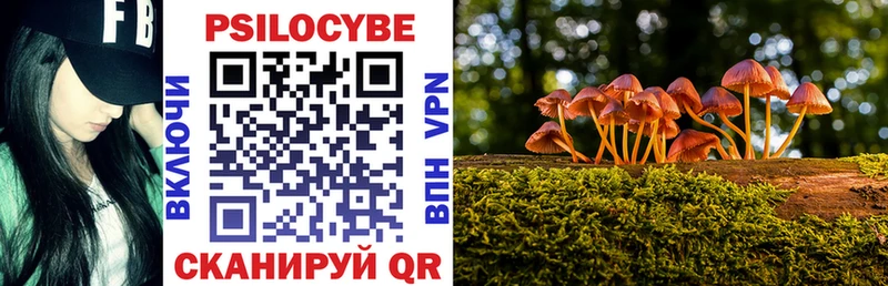 продажа наркотиков  Агрыз  Псилоцибиновые грибы MAGIC MUSHROOMS 