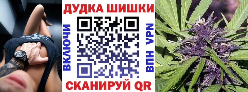 Бошки Шишки White Widow KRAKEN как зайти Агрыз сколько стоит